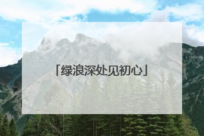 绿浪深处见初心