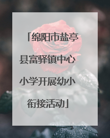 绵阳市盐亭县富驿镇中心小学开展幼小衔接活动