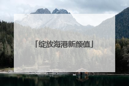 绽放海港新颜值