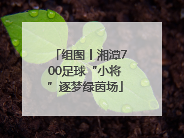 组图丨湘潭700足球“小将”逐梦绿茵场