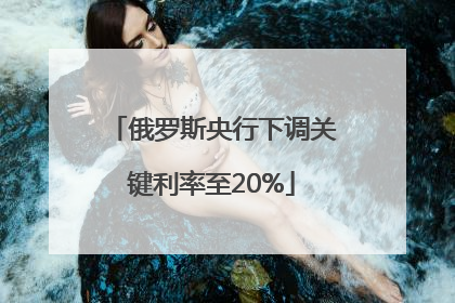 俄罗斯央行下调关键利率至20%