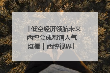 低空经济领航未来 西博会成都馆人气爆棚｜西博视界