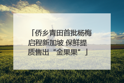 侨乡青田首批杨梅启程新加坡 保鲜提质售出“金果果”