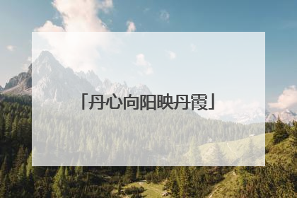 丹心向阳映丹霞
