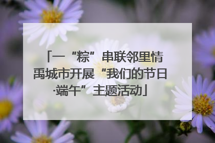 一“粽”串联邻里情 禹城市开展“我们的节日·端午”主题活动