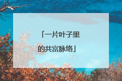 一片叶子里的共富脉络