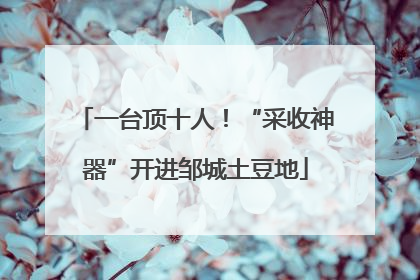 一台顶十人！“采收神器”开进邹城土豆地
