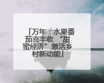 万年：水果番茄喜丰收 “甜蜜经济”激活乡村新动能