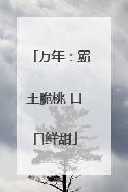 万年：霸王脆桃 口口鲜甜