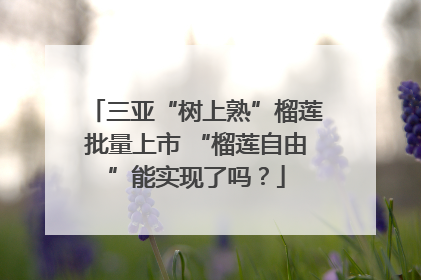 三亚“树上熟”榴莲批量上市 “榴莲自由”能实现了吗？