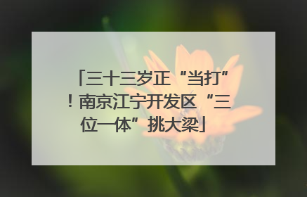 三十三岁正“当打”！南京江宁开发区“三位一体”挑大梁