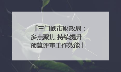 三门峡市财政局：多点聚焦 持续提升预算评审工作效能
