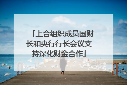 上合组织成员国财长和央行行长会议支持深化财金合作