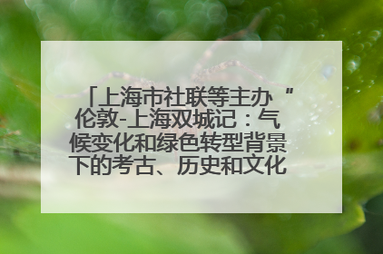 上海市社联等主办“伦敦-上海双城记：气候变化和绿色转型背景下的考古、历史和文化遗产”学术对话