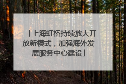 上海虹桥持续放大开放新模式，加强海外发展服务中心建设