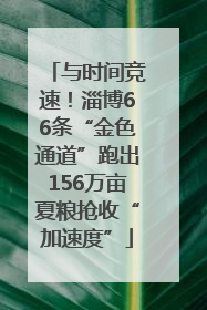 与时间竞速！淄博66条“金色通道”跑出156万亩夏粮抢收“加速度”