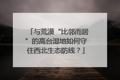 与荒漠“比邻而居”的高台湿地如何守住西北生态防线？