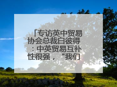专访英中贸易协会总裁白彼得：中英贸易互补性很强，“我们没有歧视”