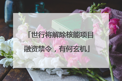 世行将解除核能项目融资禁令，有何玄机