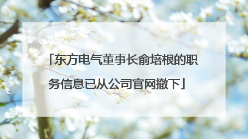 东方电气董事长俞培根的职务信息已从公司官网撤下