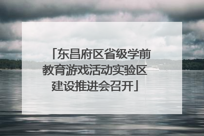 东昌府区省级学前教育游戏活动实验区建设推进会召开