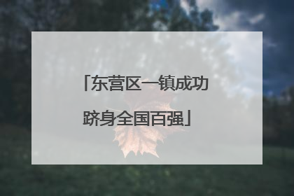 东营区一镇成功跻身全国百强