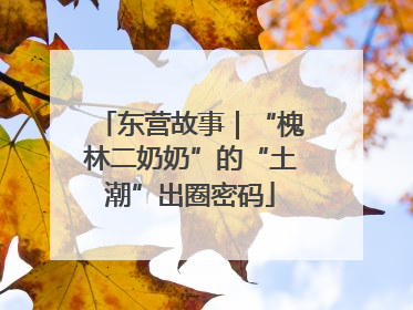 东营故事｜“槐林二奶奶”的“土潮”出圈密码