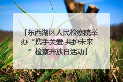 东西湖区人民检察院举办“携手关爱 共护未来”检察开放日活动