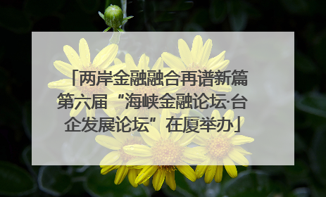两岸金融融合再谱新篇 第六届“海峡金融论坛·台企发展论坛”在厦举办