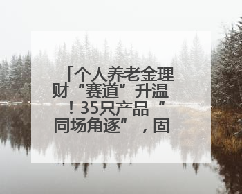 个人养老金理财“赛道”升温！35只产品“同场角逐”，固收类成主力