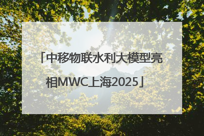 中移物联水利大模型亮相MWC上海2025