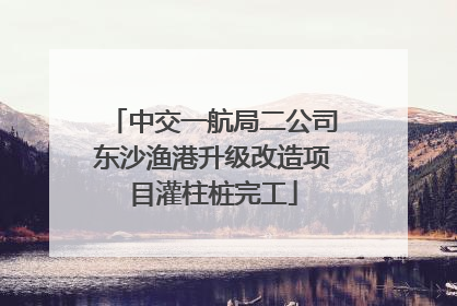 中交一航局二公司东沙渔港升级改造项目灌柱桩完工