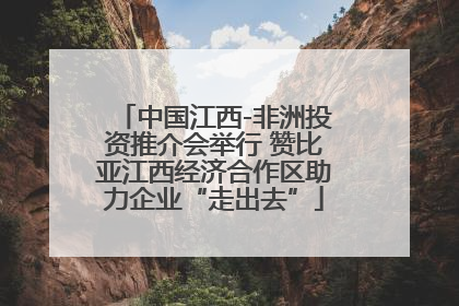 中国江西-非洲投资推介会举行 赞比亚江西经济合作区助力企业“走出去”