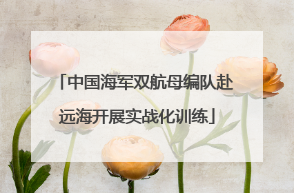 中国海军双航母编队赴远海开展实战化训练