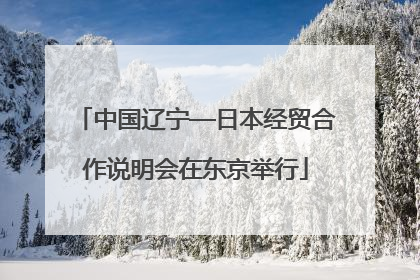 中国辽宁—日本经贸合作说明会在东京举行