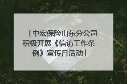中宏保险山东分公司积极开展《信访工作条例》宣传月活动
