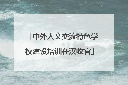 中外人文交流特色学校建设培训在汉收官