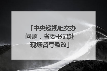 中央巡视组交办问题，省委书记赴现场督导整改