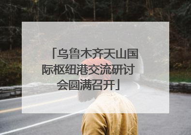 乌鲁木齐天山国际枢纽港交流研讨会圆满召开