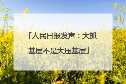 人民日报发声：大抓基层不是大压基层