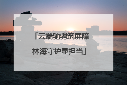 云端驰骋筑屏障 林海守护显担当