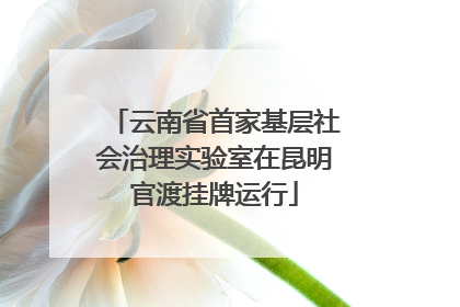 云南省首家基层社会治理实验室在昆明官渡挂牌运行