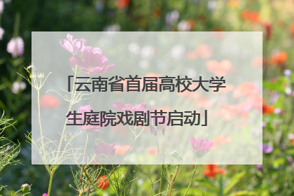 云南省首届高校大学生庭院戏剧节启动