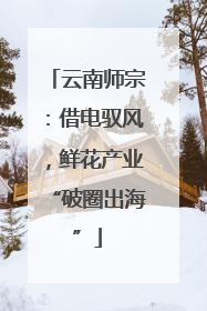 云南师宗：借电驭风，鲜花产业“破圈出海”