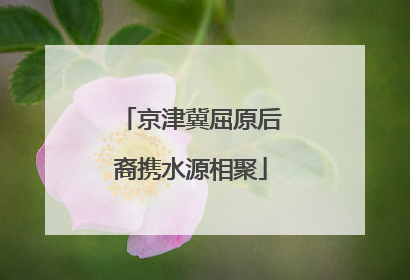 京津冀屈原后裔携水源相聚