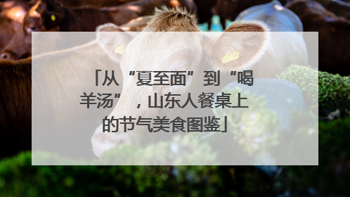 从“夏至面”到“喝羊汤”，山东人餐桌上的节气美食图鉴