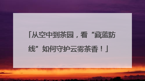 从空中到茶园，看“藏蓝防线”如何守护云雾茶香！