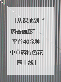 从裸地到“药香画廊”，平谷40余种中草药特色花园上线
