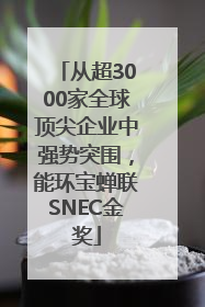 从超3000家全球顶尖企业中强势突围，能环宝蝉联SNEC金奖