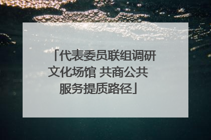 代表委员联组调研文化场馆 共商公共服务提质路径